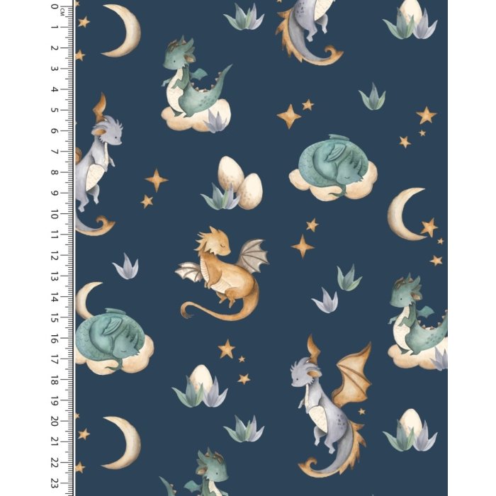 French Terry Digital Little Dragon 5902