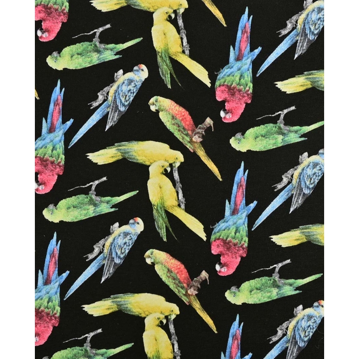 Jersey Parrot 90250