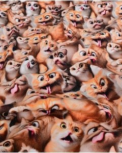 Jersey Digital Funny Cats 5924