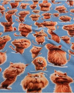 French Terry Digital Red Cat 5946