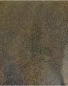 Holographic Lamé Jersey 6095