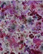 Punta di Roma Aquarelle 5848