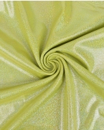 Holographic Lamé Jersey 6095