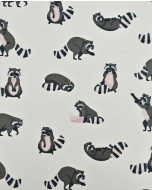 Poplin Raccoon 90072